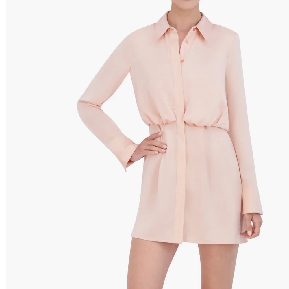 NWT BCBG Dusty Rose shirt dress L